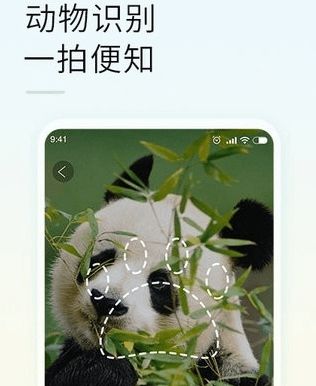 智能拍照识物