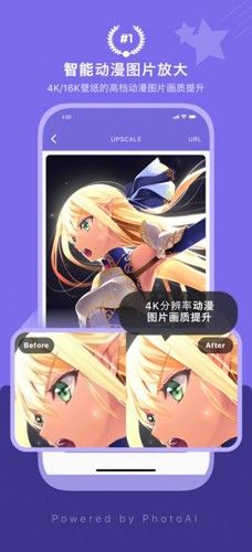 画质2X图片