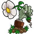 植物大战僵尸重制版最新版
