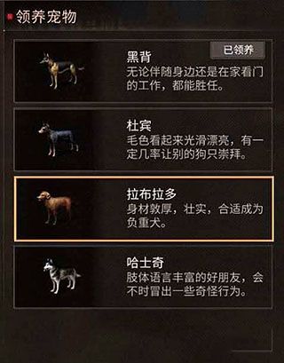 新手攻略配图1