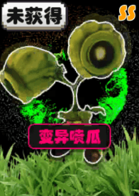 植物介绍配图4