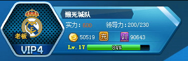 全明星足球球队信息详解1