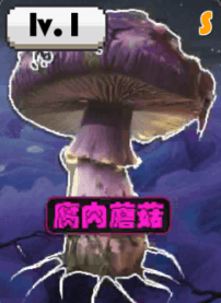 植物介绍配图6