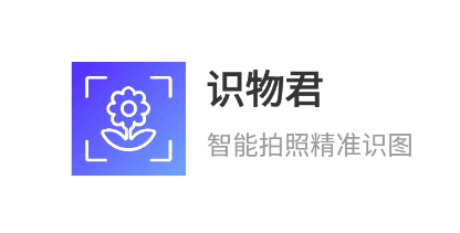 识物君app下载2