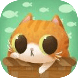 猫咪慵懒的日常