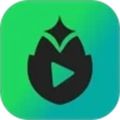 芦笋提词器app下载_芦笋提词器官方版下载 v4.4.0安卓版