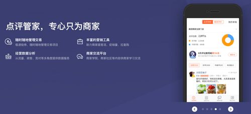 点评管家app特色