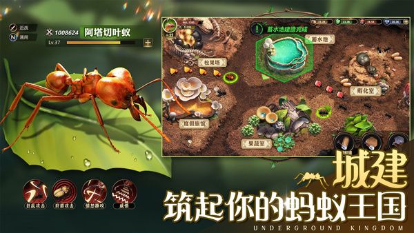 联盟远征攻略配图1