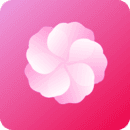 芙蓉
