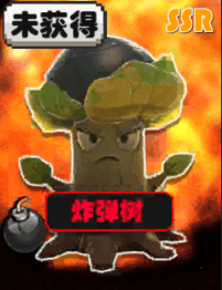 植物介绍配图2