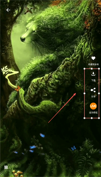 壁纸设置教程配图2