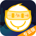 语聊音频变声器app